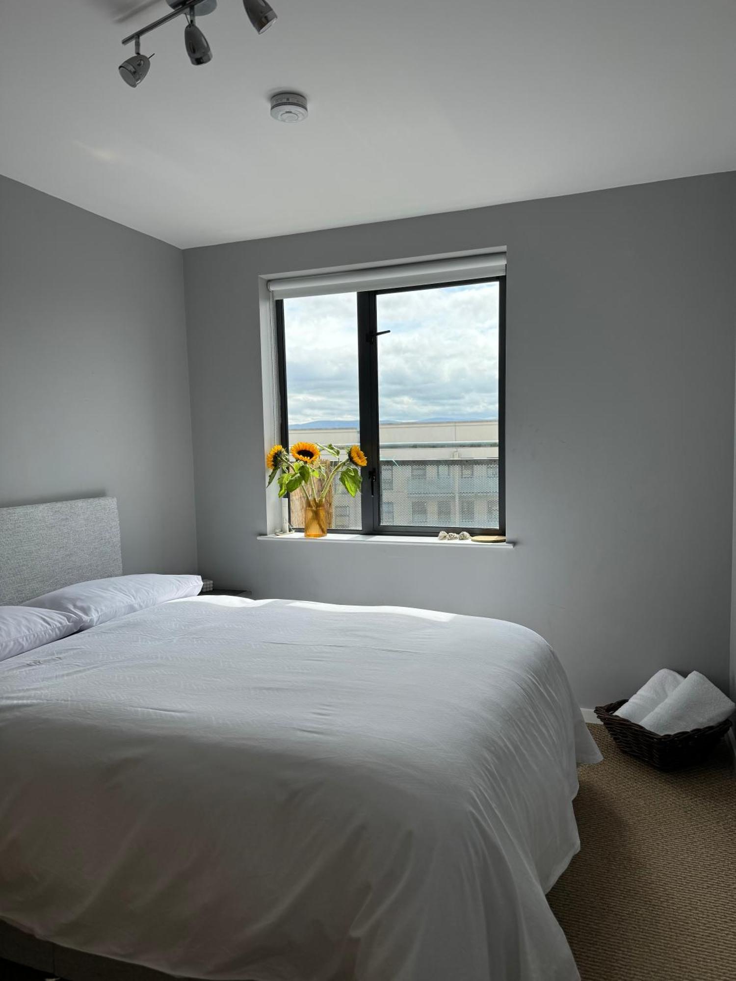 Bed and breakfast Private Dublín